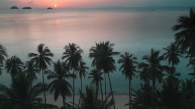 İnanılmaz tropikal gün batımı. Güneş denizdeki kızıl ufukta batar. Tropikal, el değmemiş plajlarda palmiye ağaçları. Ormandaki kumsalda güzel bir tropikal gün batımının sinematik drone videosu.