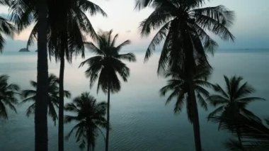 Akşamları turkuaz deniz suyunun arka planındaki palmiye ağaçlarının hava görüntüsü, sinematik dron videosu. Akşamları inanılmaz tropikal manzaralar.
