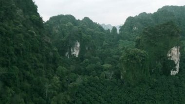 Yeşil otantik vahşi ormanın üzerindeki dağlık manzarada tropikal ormanlarda sinematik video drone uçuşu. Gökyüzü manzarası, tropikal yağmur ormanlarındaki güzel dağlarda uçuyor.