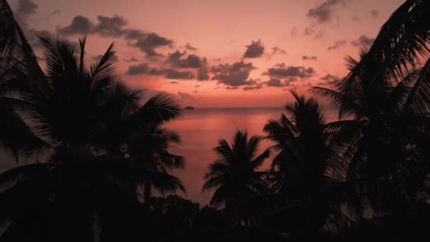Vídeo Aéreo Cinematográfico Paradisíaca Playa Tropical Atardecer Rojo Hermosos Paisajes — Vídeos de Stock