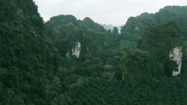 Vídeo Cinematográfico Voo Drone Floresta Tropical Paisagens Montanhosas Sobre Verde — Vídeo de Stock