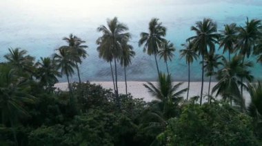 Palmiye ağaçları, beyaz kumsal ve turkuaz deniz suyu olan tropik bir sahil. Cennet tropikal manzarası. Tropikal vahşi plajın sinematik drone görüntüsü.