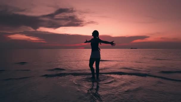 Muhteşem Kırmızı Bir Günbatımının Akşam Deniz Manzarasında Bir Kadının Silueti — Stok video