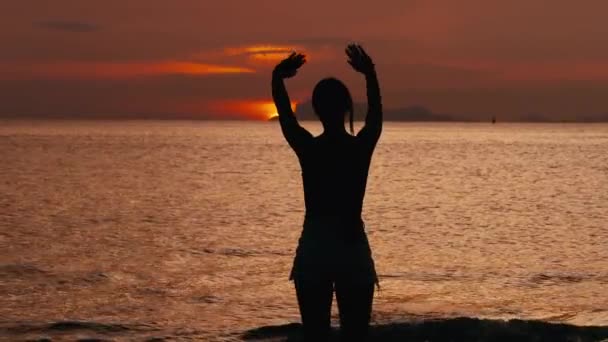 Visão Traseira Silhueta Mulher Jovem Olha Para Pôr Sol Mar — Vídeo de Stock