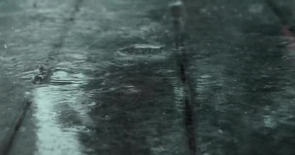 Regentropfen Prasseln Auf Den Asphalt Starkregen Großaufnahme Große Regentropfen Fallen — Stockvideo