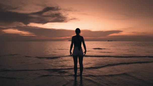 Silhouet Vrouw Kijkt Naar Zonsondergang Steekt Hand Geniet Van Een — Stockvideo