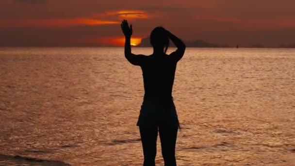 Silhueta Visão Traseira Jovem Mulher Olha Para Nascer Sol Mar — Vídeo de Stock