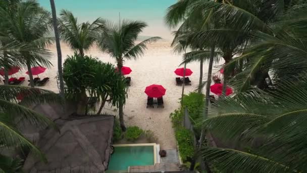 Plage Avec Parasols Rouges Palmiers Maisons Plage Tropicales Authentiques Concept — Video