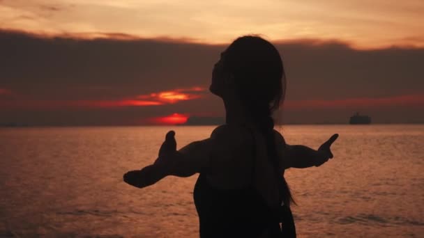 Genç Bir Kadının Silueti Denizin Arka Planında Gökyüzünde Güzel Bir — Stok video