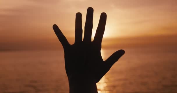 平和な祈りの女性は 太陽の光の中で彼女の手を伸ばし 神への信仰 宗教的概念 宗教の海の日の出で手を助ける 黄金の夕日で太陽の光で女性の手を閉じる — ストック動画