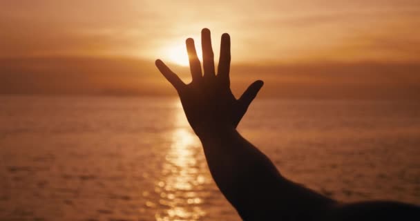 美丽的梦中情人的手像在日落的时候被拉向太阳 快乐的女人梦游般地把手伸向黄昏的太阳 梦的概念 — 图库视频影像