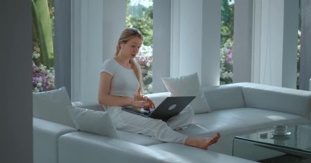 Heyecanlı Bayan Kullanıcı Koltukta Dizüstü Bilgisayarla Oturur Inanılmaz Bir Satış — Stok video