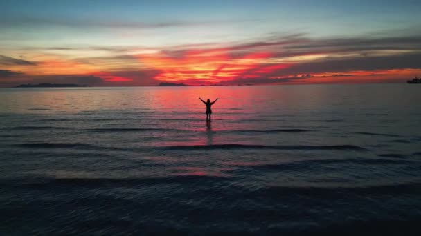 海景日落 年轻的女游客黄昏在海洋中嬉戏 胳膊伸向拥抱太阳再见 海滨的幸福 女孩的平静的海洋长廊 向迷人的日落伸展的臂膀 — 图库视频影像