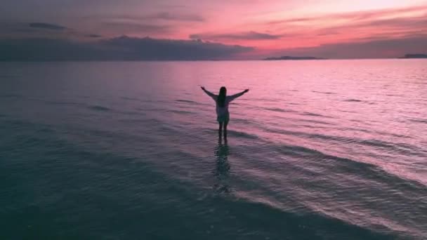 拍摄电影的灵感来自于一个女人 她在空中举起双臂 欣赏大海或海洋上美丽的粉色落日 女人伸展着胳膊享受日落 享受地球母亲的自然美景 — 图库视频影像