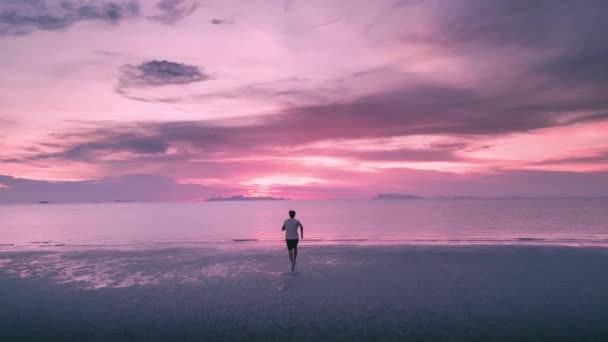 逃离自由 人类向大海奔去 享受着美丽的紫色日落 自由与冒险 日落时分人类向海洋慢跑 逃离自由 电影拍摄 — 图库视频影像