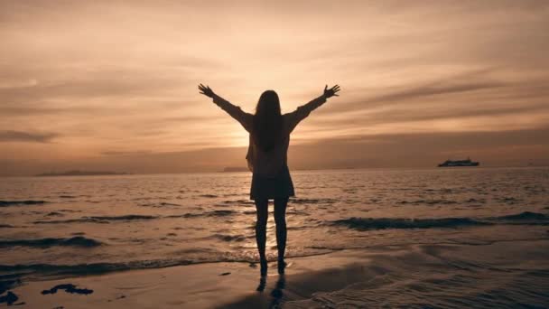Радісна Безтурботна Жінка Дивиться Захід Сонця Піднімає Руки Зустрічає Захід — стокове відео