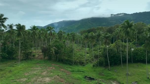 Pohled Shora Odhaluje Svět Divoké Přírody Obklopující Hory Šance Nahlédnout — Stock video