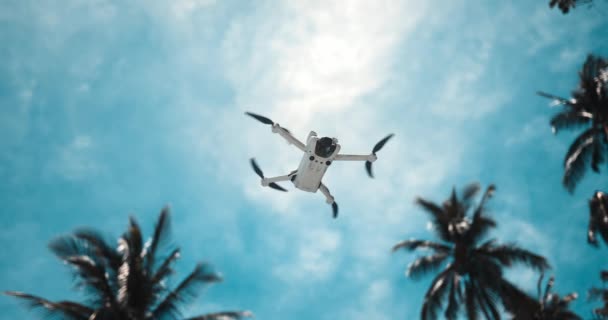 无人机四分仪慢动作飞行 无人机在蓝天和棕榈背景的空气中飞行 现代电子设备的概念 科普特正在空中拍摄 印度尼西亚巴厘 2023年9月11日 — 图库视频影像