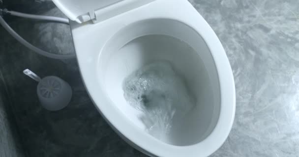 Spłuczka Łazience Biała Ceramiczna Czysta Toaleta Spłukuje Wodę Pokrywa Toalety — Wideo stockowe