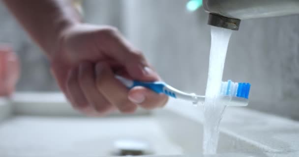 Kézöblítő Fogkefe Víz Alatt Közelről Víz Folyik Mosogatóba Csapból Kék — Stock videók