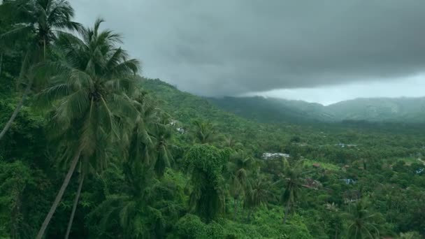 Dżungla Zielony Las Deszczowy Tropikalna Przyroda Niebo Pokryte Ogromnymi Chmurami — Wideo stockowe