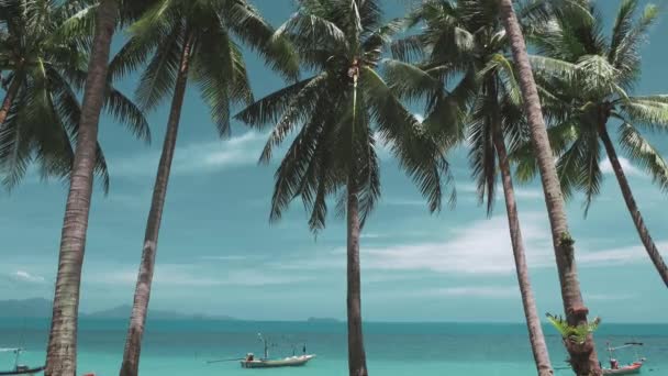 热带雨林多云的天空背景自然异国情调的美丽热带棕榈树与柔和的海浪声交织在一起 热带棕榈林宁静的海滩氛围异国情调 — 图库视频影像