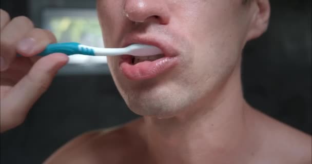 Man Bathroom Focuses Oral Hygiene Brushing Teeth Diligently Close Emphasizes — Stock Video
