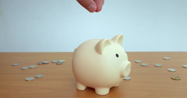 Монеты Звонят Присоединяются Другим Копилке Отмечая Очередную Веху Сбережений Свинка — стоковое видео