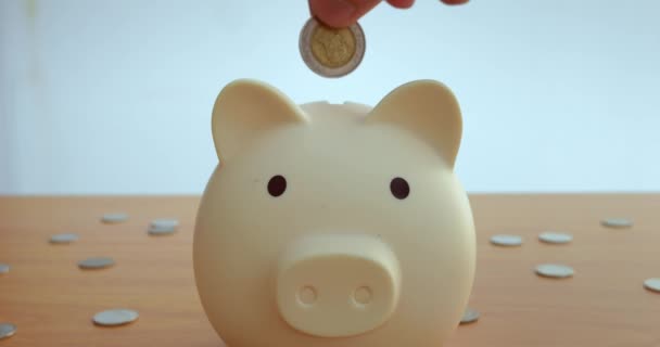 Hand Drops Coin Piggy Bank Initiating Savings Journey Piggy Bank — Video