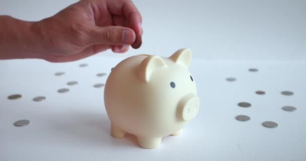 Piggy Bank Receives Another Coin Its Belly Growing Potential Wealth — Stock Video