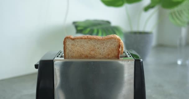 Ekmeği Altın Tostlara Dönüştüren Tost Makinesi Kahvaltıyı Basitleştirir Tost Makinesi — Stok video