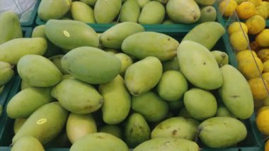 Süpermarkette taze mangolar, organik egzotik meyvelerin yakın çekim gösterimi. Vitamin bakımından zengin mangolar sağlıklı beslenmenin somut örnekleridir. Mangolar lezzetli bir besin değeri sunar.