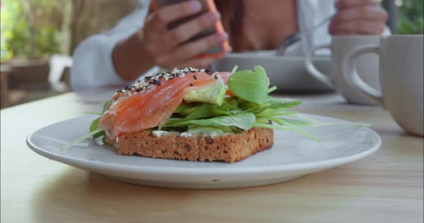 접시에 물고기와 샌드위치 식사하는 전화로 종사하는 레스토랑 분위기 레스토랑 생활의 — 비디오
