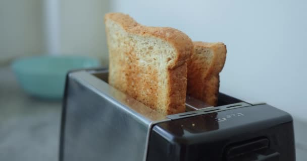 Two White Bread Toasts Spring Toaster Bowl Backdrop Showcasing Art — Stock Video