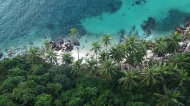 Tropikal adada palmiyeler ve gök mavisi suları olan sahil egzotik cazibe yayar. Bu sakin manzara, egzotik varış yerlerini tanımlayan güzelliğin egzotik özünü somutlaştırıyor.
