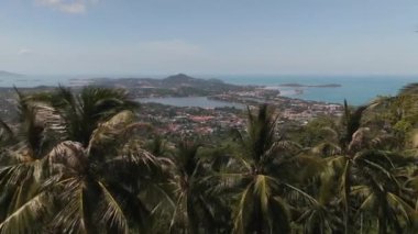 Adada palmiye ağaçları bulunan tropikal yağmur ormanları görkemli tropikal doğa, yeşil palmiye yapraklı hava manzarası. Ormanda yemyeşil palmiyeleri olan tropikal bir ada.