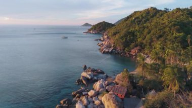 Tropikal adanın çevresindeki kıyı manzarası yeşil palmiyeler sıcak iklim manzarası doğal deniz manzaraları. Tropik ada kıyılarının deniz kıyısı görüntüleri yemyeşil palmiyeler sıcak iklim güzel yeşil manzara