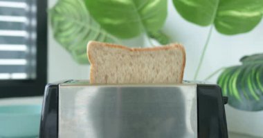 Ekmeğe yakın çekim, tost makinesinde çıtır çıtır olur. Kahvaltıyı hızlı, sağlıklı ve sağlıklı bir yemeğe dönüştürür. Mutfakta tost makinesi çok önemlidir.