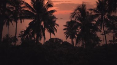 Kırmızı günbatımının parladığı tropik ada ince palmiye ağaçları arasından parlar. Cennet manzarası bozulmamış doğayla nefes kesici. Manzara, tropikal doğanın tüm çeşitliliğini absorbe etmiştir.