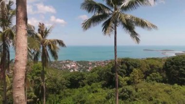 Okyanus adasının ortasındaki tropikal ormanda yemyeşil palmiyeler tropikal bitki iklimi. Okyanus adasındaki tropikal ormandaki yeşil palmiyelerin havadan görünüşü biyolojik çeşitlilik tropik yeşillik