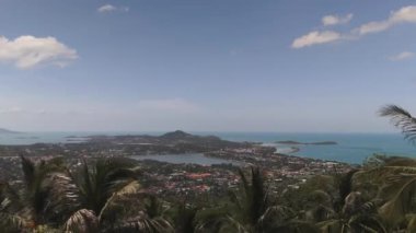 Tropikal ormanlardaki yeşil palmiyeler. Okyanusun ortasındaki doğa harikası tropikal ortamlar. Okyanustaki yeşil palmiyeleri tropikal ormanlarda sersemleten doğa manzaraları