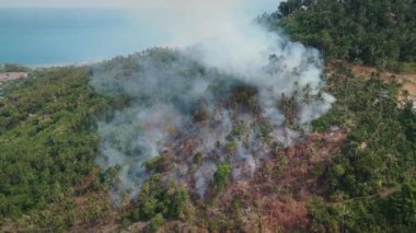 Tropikal orman yangınının küresel ısınma çevresel sonuçlarına karşı Dünya 'yı yakan tropikal orman yangını. İklim değişikliğindeki orman yangınları tropikal orman yangınlarının küresel ısınmaya katkısı