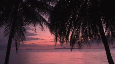 Gün batımından sonra güzel kızıl gökyüzüne karşı palmiye ağaçlarının siluetlerinin statik görüntüsü. Gün batımında tropikal manzara. Sakin tropik gün batımı. Doğanın doğal güzelliği.