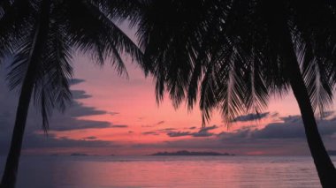 Denizde gün batımından sonra tropikal bir gece. Kızıl gün batımı sakin deniz suyuna yansıyor. Denizde sakin bir romantik akşam. Yanlarında büyük palmiye yaprakları var. Doğal sonsuz güzellik..