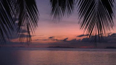 Tayland 'da bir cennet adasında tropik bir yaz günbatımı. Manzaralı sakin yaz, pembe gün batımı. Palmiye yapraklarının silueti denize karşı. Güzel akşam deniz manzarası