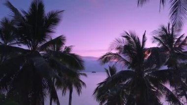 Palmiye yapraklarıyla çerçevelenmiş sakin okyanusun üzerinde Idyllic tropikal günbatımının sinematik görüntüsü. İnsansız hava aracı, güzel pembe bir günbatımını gösteren palmiye ağaçlarının arasından denize uçar. Tropik sahilde pembe gün batımı.