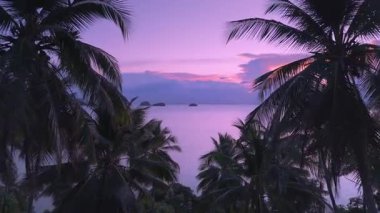Tropik cennet ve dinginlik kavramı. Palmiye ağaçlarının silueti denizin üzerinde pembe gün batımına karşı. Hava aracının palmiye ağaçlarının arasından denize doğru uçup güzel pembe günbatımını gösteren sinematik hava manzarası..