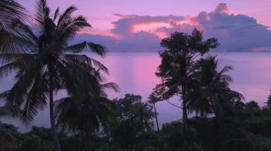 Plajda güzel pembe günbatımını gösteren palmiye ağaçlarının arasından sakin denize doğru uçan sinematik hava görüntüsü. Güzel doğa deniz manzarası. Tropik Sahilde Canlı Pembe Gün Batımının Sinematik Çekimi