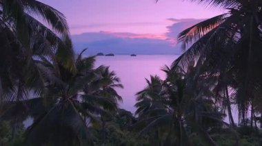 Tropik Sahilde Canlı Pembe Gün Batımı 'nın sinematik çekimi. Plajda güzel pembe günbatımını gösteren palmiye ağaçlarının arasından sakin denize doğru uçan sinematik hava görüntüsü. Güzel doğa deniz manzarası.