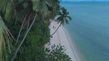 Sallanan palmiye ağaçları, el değmemiş beyaz kumsal ve okyanusun turkuaz sularını gösteren tropik cennet manzarası huzurlu ve huzurlu ada kaçamağı, beyaz kum ve palmiyeler yaratıyor.
